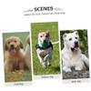 VANZACK 10-Pack Cat Head Dog Tags view 3