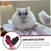 Animal Handling Gloves BITT-Proof view 2