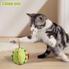 Catnip Plush Toy - Fruit Simulation view 2