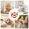 Cute Plush Dog Hat for Cats view 4