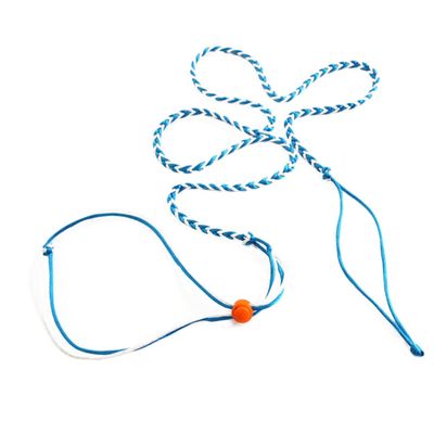 ibasenice Hamster Leash
