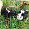 ibasenice Hamster Leash view 4