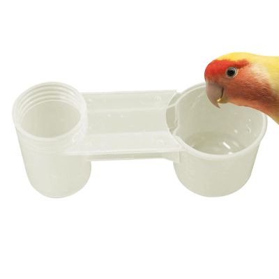 Pigeon Water Feeder