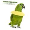 BESTonZON Parrot Collar for Birds view 3