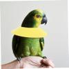 BESTonZON Parrot Collar for Birds view 4