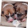 POPETPOP Pet Feeding Bottle Set view 4