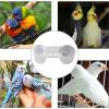 Acunny Pauben - Chicken Feed Water Dispenser view 4