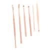 BESTYASH Stainless Steel Spiral Earwax Remover, Portable Ear Canal Cleaner view 1