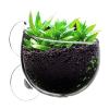 Bexdug Suction Cup Plant Holder view 1