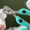 Cat Nail Clipper view 3