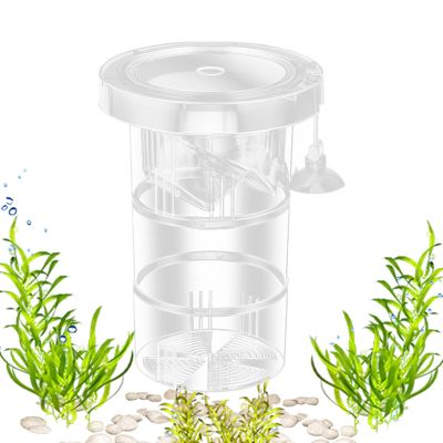 Fish Breeding Box for Aquariums