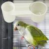 Pigeon & Chicken Feeder Waterer view 3