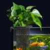 Generic Aquarium Holder view 3