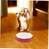 BAZEITFLOW Pet Slow Feeding Bowl view 3