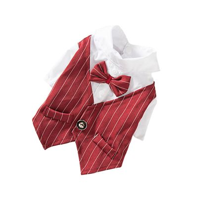 BESTonZON Elegant Pet Suit with Comfort and Colorful Lace Decoration