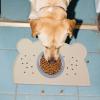 Leakproof Bear-Shaped Pet Feeding Mat view 3