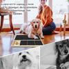 Wooden Dog Nail Scratch Pad view 3
