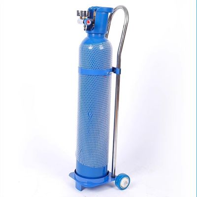 zktoermn Oxygen Cylinder Rack, Gas Cylinder Cart with Wheels, 10/15/20 L, Home Nitrogen Storage Rack (17 x 80 cm)