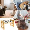 Elevated Adjustable Dog Feeding Station view 4