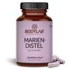 Bodylab24 Milk Thistle 180 Capsules, 4-Way Complex with Milk Thistle, Artichoke, Dandelion Root and Desmodium, 30% Silymarin, 100% Vegan view 1