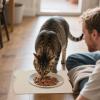 Non-Slip, Washable Dog Bowl Mat view 3