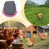 Chicken Vest | Breathable Adjustable Chicken Clothing view 4