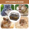 Small Animal Carrier, Transparent Box with Exercise Wheel view 4
