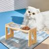 Elevated Dog Bowl Feeding Station for Puppies, Kittens, and Small Cats view 2