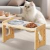 Elevated Dog Bowl Feeding Station for Puppies, Kittens, and Small Cats view 3