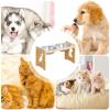 Elevated Dog Bowl Feeding Station for Puppies, Kittens, and Small Cats view 4