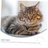 COLLBATH Hanging Cat Toy view 4