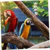 Toddmomy 2-Pack Parrot Chew Toys view 4