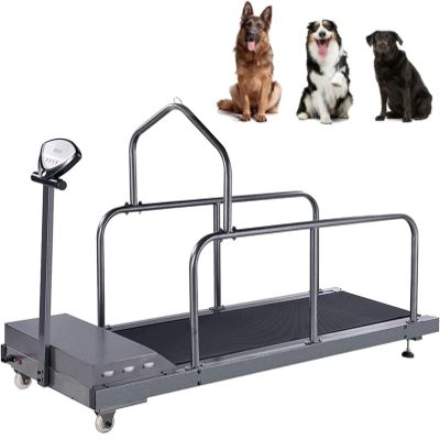 vanenferse Dog Treadmill for Small Dogs with LCD Display, 80 kg Capacity