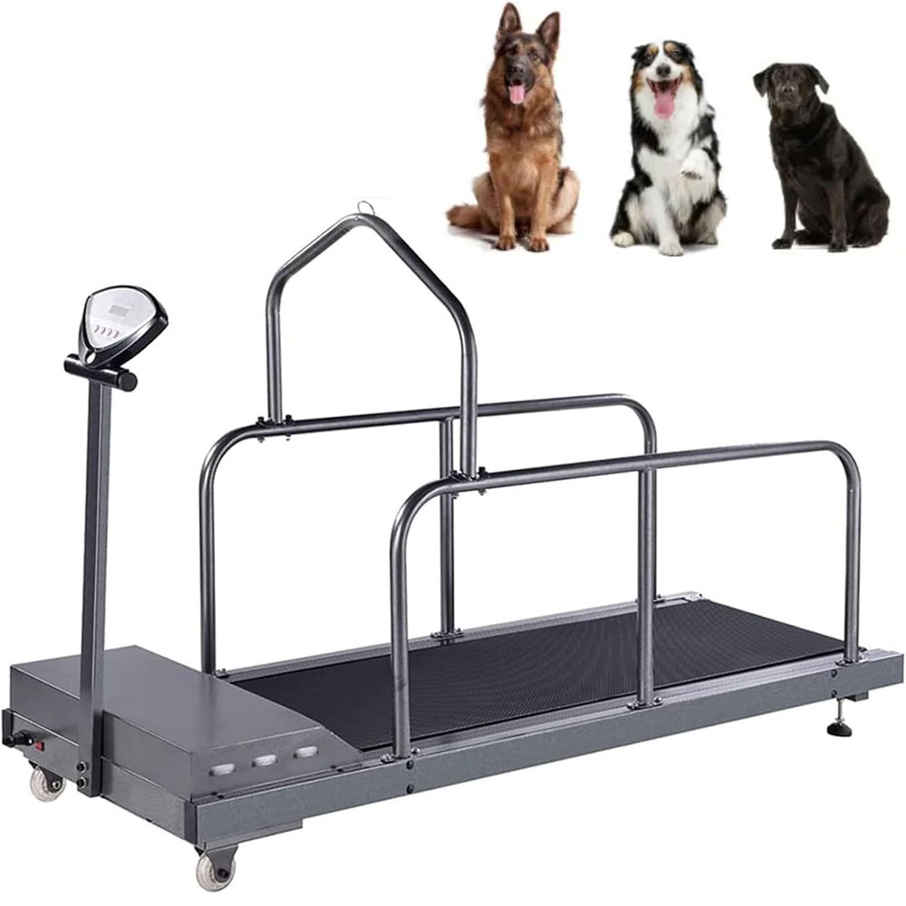 vanenferse Dog Treadmill for Small Dogs with LCD Display, 80 kg Capacity