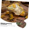 Abaodam Reptile Hideout view 3