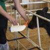 Goat and Lamb Feeding Bottles view 2