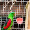 DECHOUS Stainless Steel Bird Bowl view 4