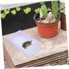 Toyvian Portable ABS Turtle Bath and Feeding Bowl, White view 4