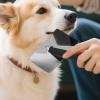 Pet Deshedding and Dematting Brush for Dogs and Cats view 2