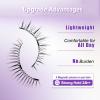 2 Pairs of Magnetic Lashes with Applicator, No Glue Required view 4