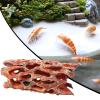 Generic Shrimp Hides | Durable PVC Shrimp Hiding House view 3
