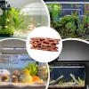 Generic Shrimp Hides | Durable PVC Shrimp Hiding House view 4