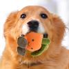Jubilofex Giochio Came Mai | Dog Toy for Aggressive Chewers view 3