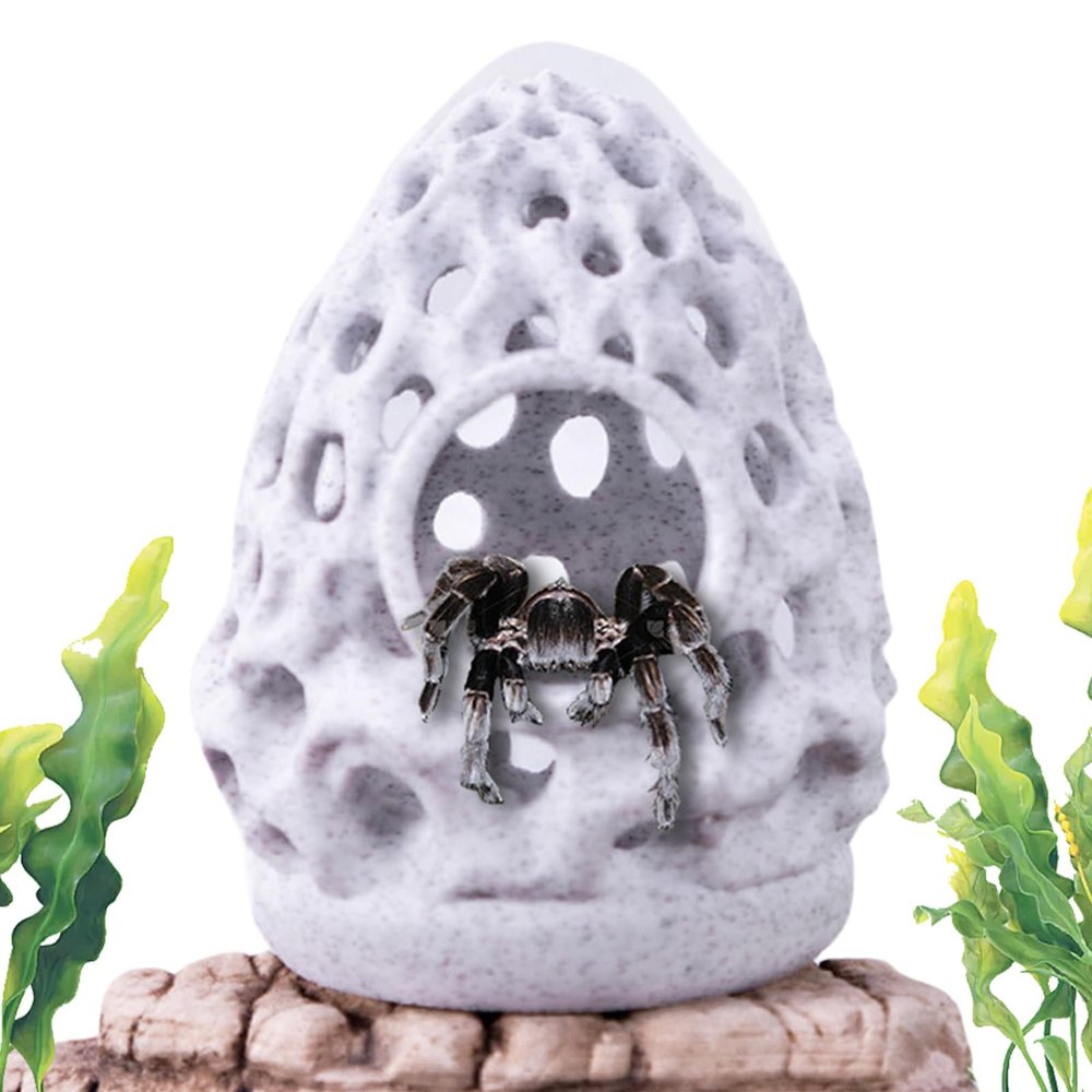 Dubbulon Shrimp House Aquarium Hideout