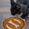 Stainless Steel Slow-Feeder Dog Bowl with Raised Plate for Medium and Large Breeds view 3