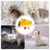 Cat Scratching Pad, Kse-Design view 4