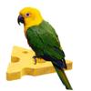 Abaodam Bird Toy for Parrots view 4