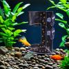 Aquarium Feeding Station view 3