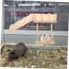 BESPORTBLE Wooden Hamster Ladder and Chew-Resistant Swing for Small Pets view 3
