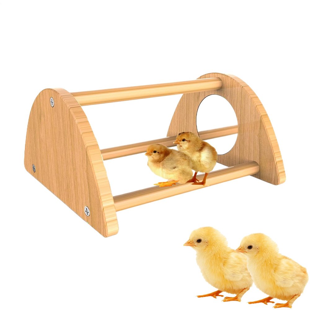 Interactive Chicken Perch with Mirror